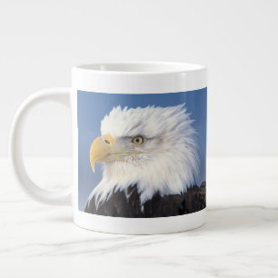 Weißkopfseeadler, Haliaeetus leuccocephalus, Jumbo-Tasse