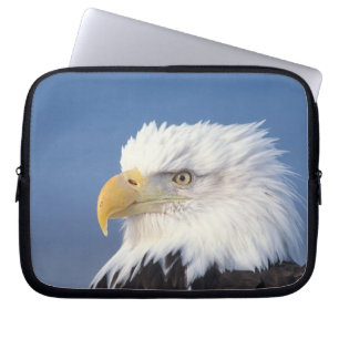 Weißkopfseeadler, Haliaeetus leuccocephalus, Laptopschutzhülle