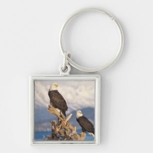 Weißkopfseeadler, Haliaeetus leuccocephalus, Paar Schlüsselanhänger