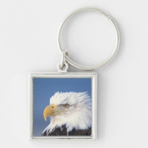 Weißkopfseeadler, Haliaeetus leuccocephalus, Schlüsselanhänger
