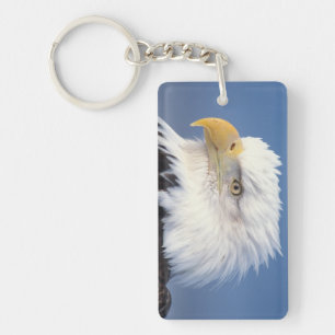 Weißkopfseeadler, Haliaeetus leuccocephalus, Schlüsselanhänger