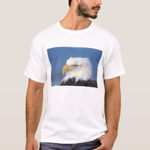Weißkopfseeadler, Haliaeetus leuccocephalus, T-Shirt