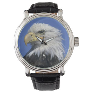 Weißkopfseeadler, (Haliaeetus leucocephalus), Armbanduhr
