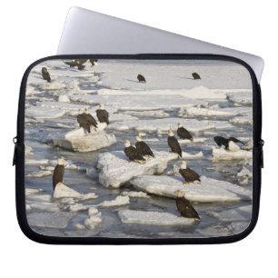 Weißkopfseeadler, Haliaeetus leucocephalus, Homer, Laptopschutzhülle