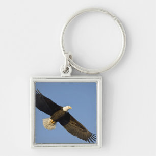 Weißkopfseeadler, Haliaeetus leucocephalus, Homer, Schlüsselanhänger