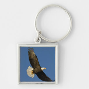 Weißkopfseeadler, Haliaeetus leucocephalus, Homer, Schlüsselanhänger