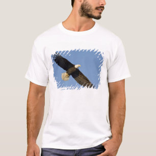 Weißkopfseeadler, Haliaeetus leucocephalus, Homer, T-Shirt
