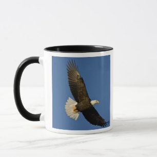 Weißkopfseeadler, Haliaeetus leucocephalus, Homer, Tasse
