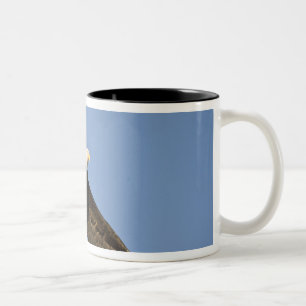 Weißkopfseeadler, Haliaeetus leucocephalus, Homer, Zweifarbige Tasse