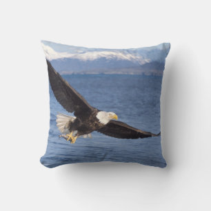 Weißkopfseeadler, Haliaeetus leucocephalus, im Flu Kissen
