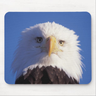 Weißkopfseeadler, Haliaeetus leucocephalus, Kopfau Mousepad