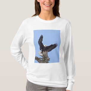 Weißkopfseeadler (Haliaeetus leucocephalus) mit Fl T-Shirt