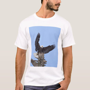 Weißkopfseeadler (Haliaeetus leucocephalus) mit Fl T-Shirt