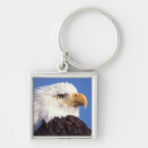 Weißkopfseeadler, Haliaeetus leucocephalus, Nahauf Schlüsselanhänger