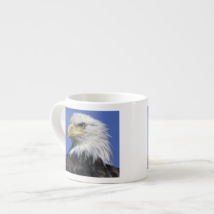Weißkopfseeadler, (Haliaeetus leucocephalus), wild Espressotasse