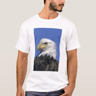 Weißkopfseeadler, (Haliaeetus leucocephalus), wild T-Shirt