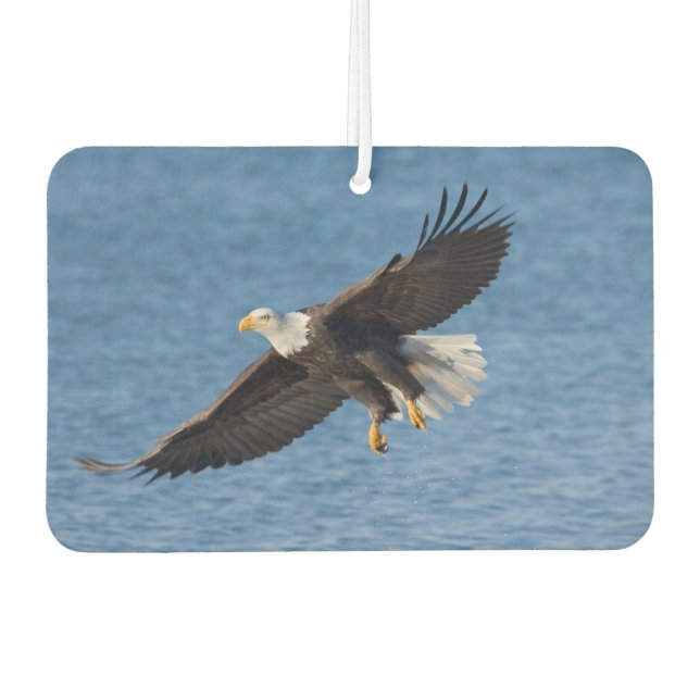 Weißkopfseeadler im Flug Autolufterfrischer (Vorderseite)