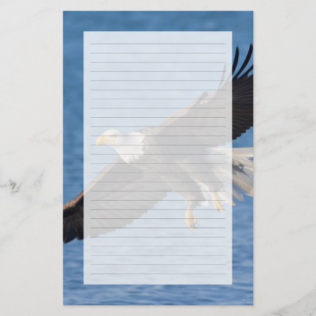 Weißkopfseeadler im Flug Briefpapier (Vorderseite)