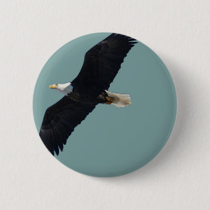 Weißkopfseeadler im Flug Button