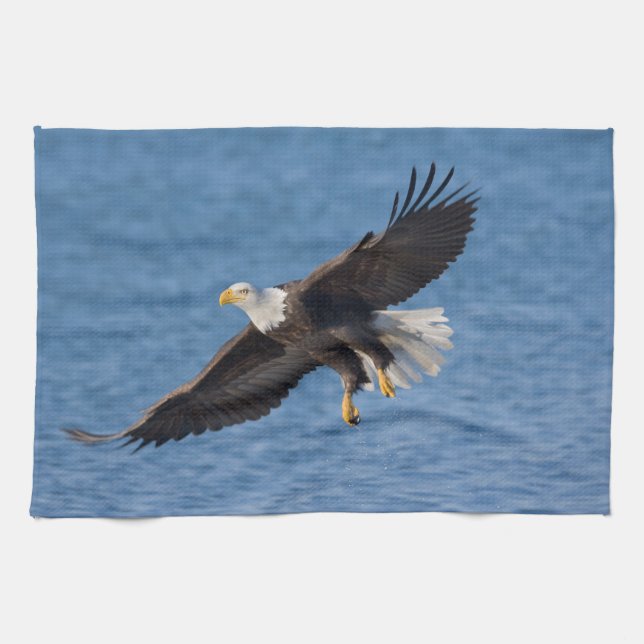 Weißkopfseeadler im Flug Geschirrtuch (Horizontal)
