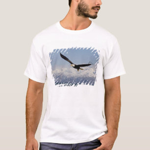 Weißkopfseeadler im Flug, Haliaeetus leucocephalus T-Shirt