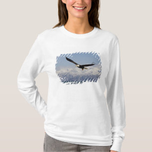 Weißkopfseeadler im Flug, Haliaeetus leucocephalus T-Shirt