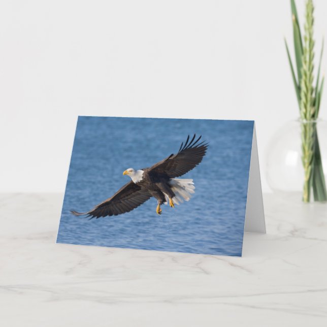 Weißkopfseeadler im Flug Karte (Vorderseite)