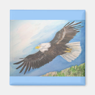 Weißkopfseeadler-im Flug Magnet