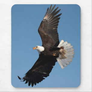 Weißkopfseeadler im Flug Mousepad
