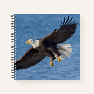 Weißkopfseeadler im Flug Notizbuch