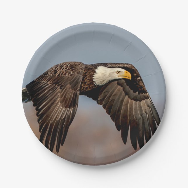 Weißkopfseeadler im Flug Pappteller (Vorderseite)