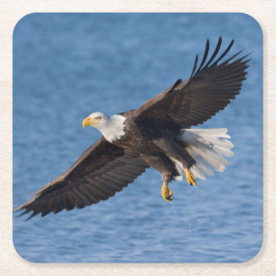 Weißkopfseeadler im Flug Rechteckiger Pappuntersetzer