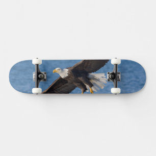 Weißkopfseeadler im Flug Skateboard