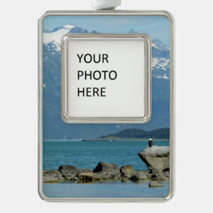 Weißkopfseeadler in Skagway Alaska Rahmen-Ornament Silber
