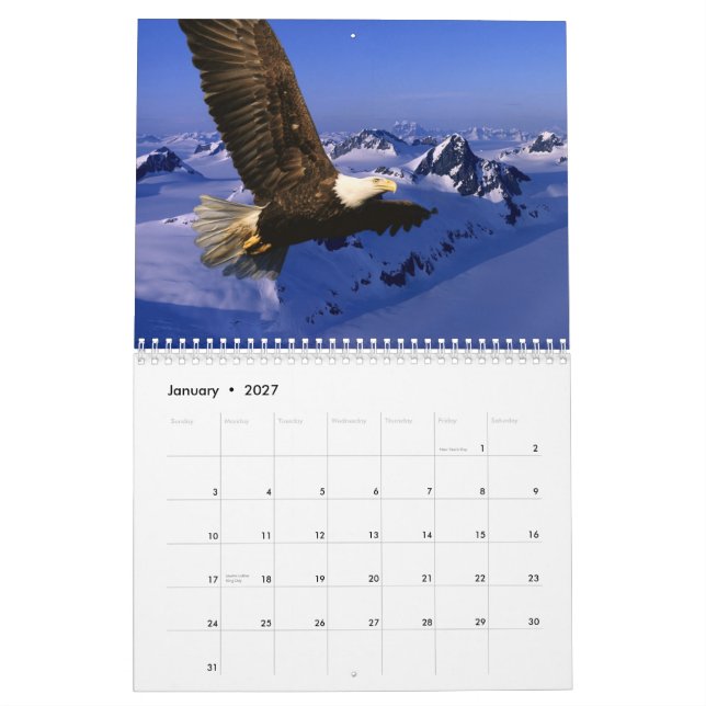 Weißkopfseeadler Kalender (Jan 2027)