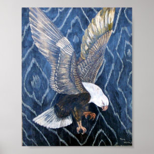 Weißkopfseeadler-Kratzer Poster