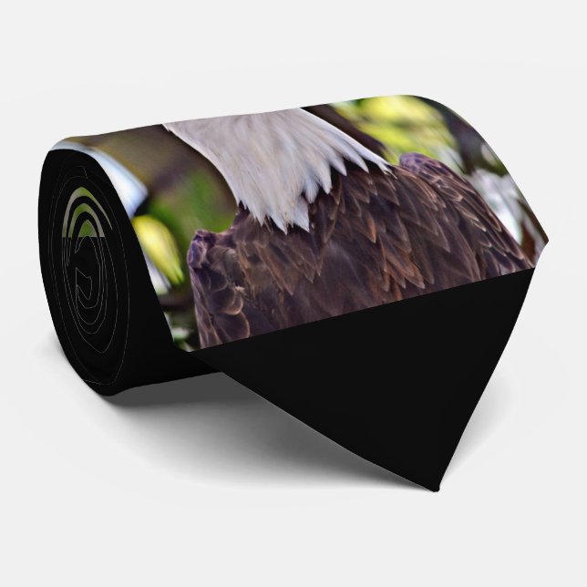 Weißkopfseeadler Krawatte (Gerollt)