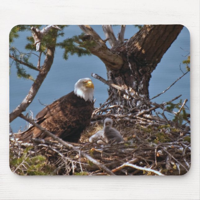 Weißkopfseeadler-Küken - Mousepad (Vorne)