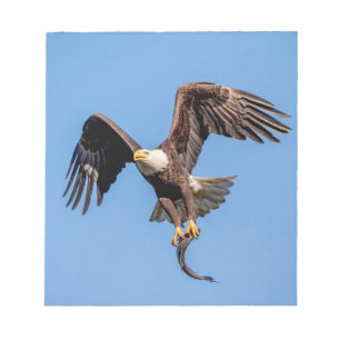 Weißkopfseeadler mit einem Fisch Notizblock