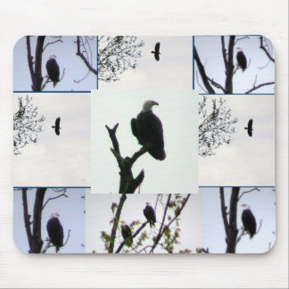 Weißkopfseeadler-Montage Mousepad