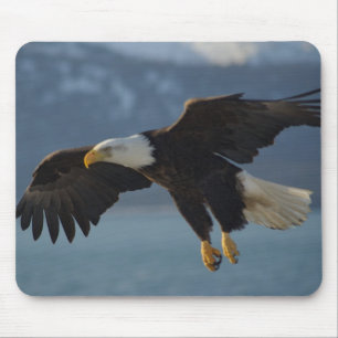 Weißkopfseeadler Mousepad