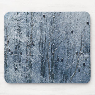 Weißkopfseeadler Mousepad