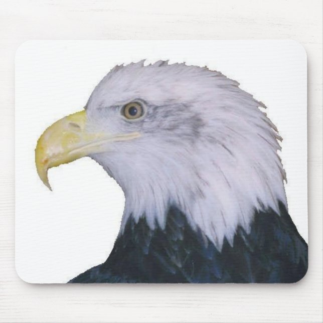 Weißkopfseeadler Mousepad (Vorne)
