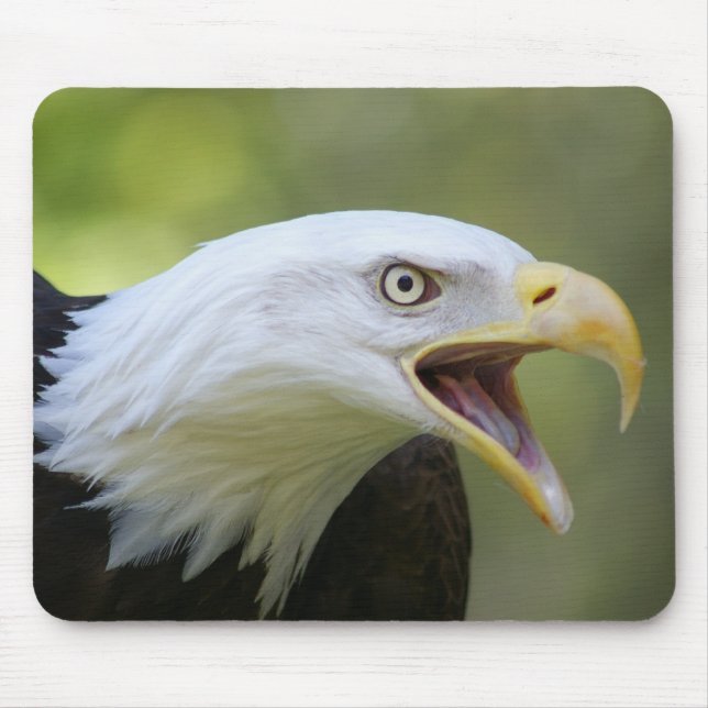 Weißkopfseeadler mousepad (Vorne)
