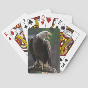 Weißkopfseeadler Nennen Spielkarten