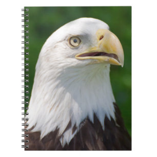 Weißkopfseeadler Notizblock