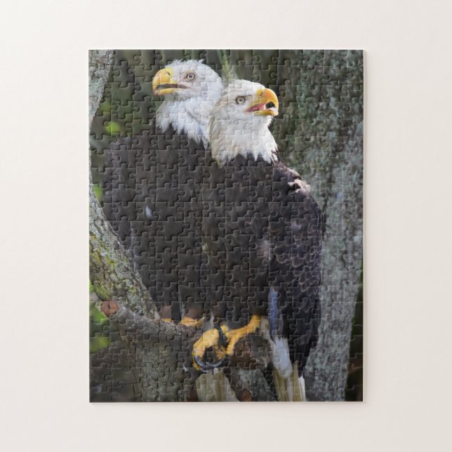 Weißkopfseeadler-Paar-Puzzlespiel (Vertikal)