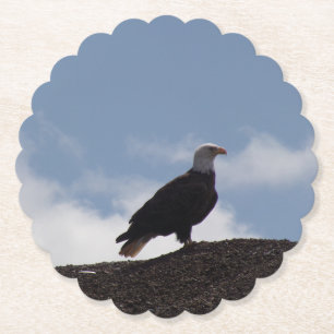 Weißkopfseeadler-Papierset Untersetzer