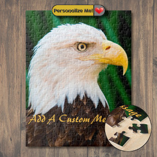 Weißkopfseeadler-Porträt