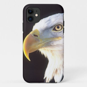 Weißkopfseeadler-Porträt, Haliaeetus leucocephalus iPhone 11 Hülle